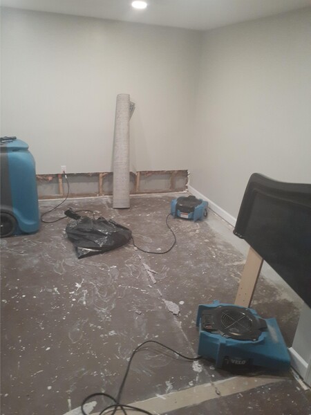 Water Damage Restoration in Springfield, VA (3)