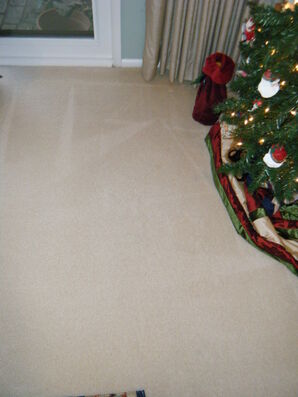 Before and After Carpet Cleaning in Fairfax, VA (2)