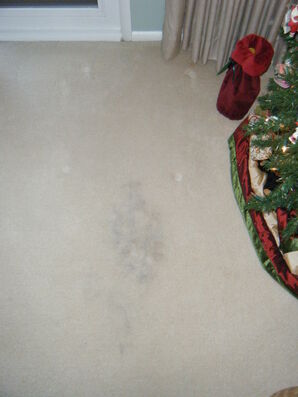 Before and After Carpet Cleaning in Fairfax, VA (1)