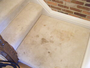 Stain Removal - Carpet Cleaning in Ashburn, VA (1)