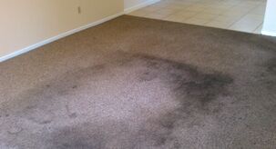 Before and After Carpet Cleaning in Sterling, VA (1)