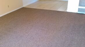Before and After Carpet Cleaning in Sterling, VA (2)